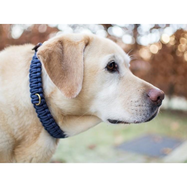 Load image into Gallery viewer, Touch of Leather Dog Collar - Navy by Molly And Stitch US
