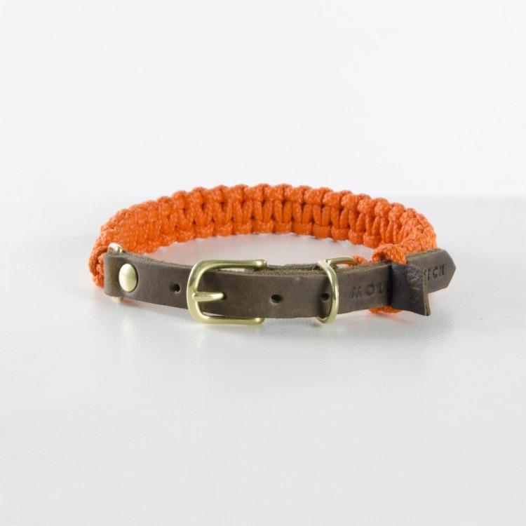 Load image into Gallery viewer, Touch of Leather Dog Collar - Pumpkin by Molly And Stitch US
