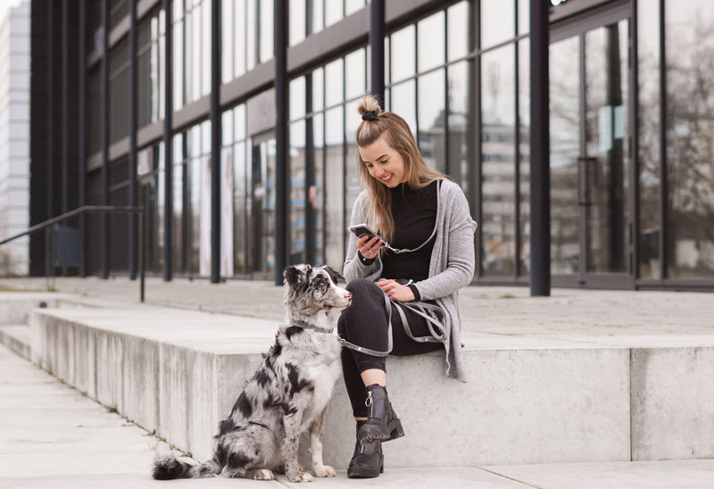 Load image into Gallery viewer, Butter Leather Dog Collar - Timeless Grey by Molly And Stitch US
