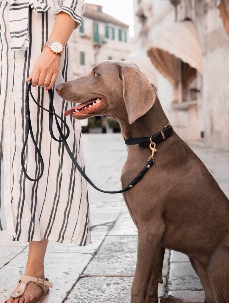 Load image into Gallery viewer, Butter Leather City Dog Leash - Navy Blue by Molly And Stitch US
